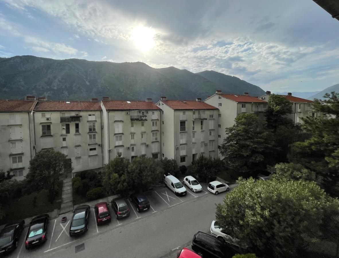 Aquarium Apartment Kotor Luaran gambar